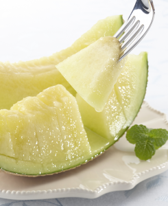 Shizuoka Crown Melon